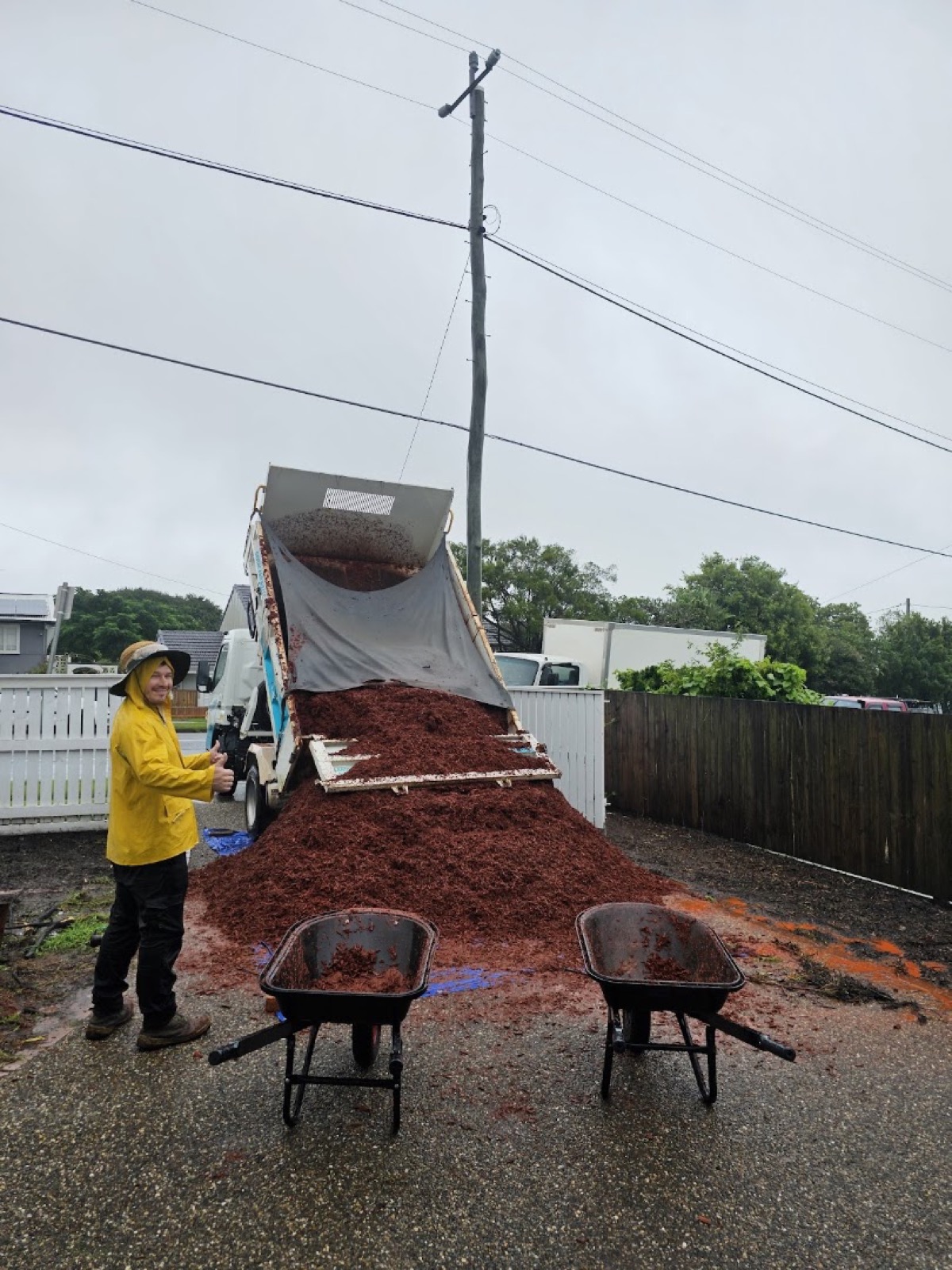 A person in a wet-weather jacket beside a tipper truck unloading garden mulch, with two wheelbarrows ready