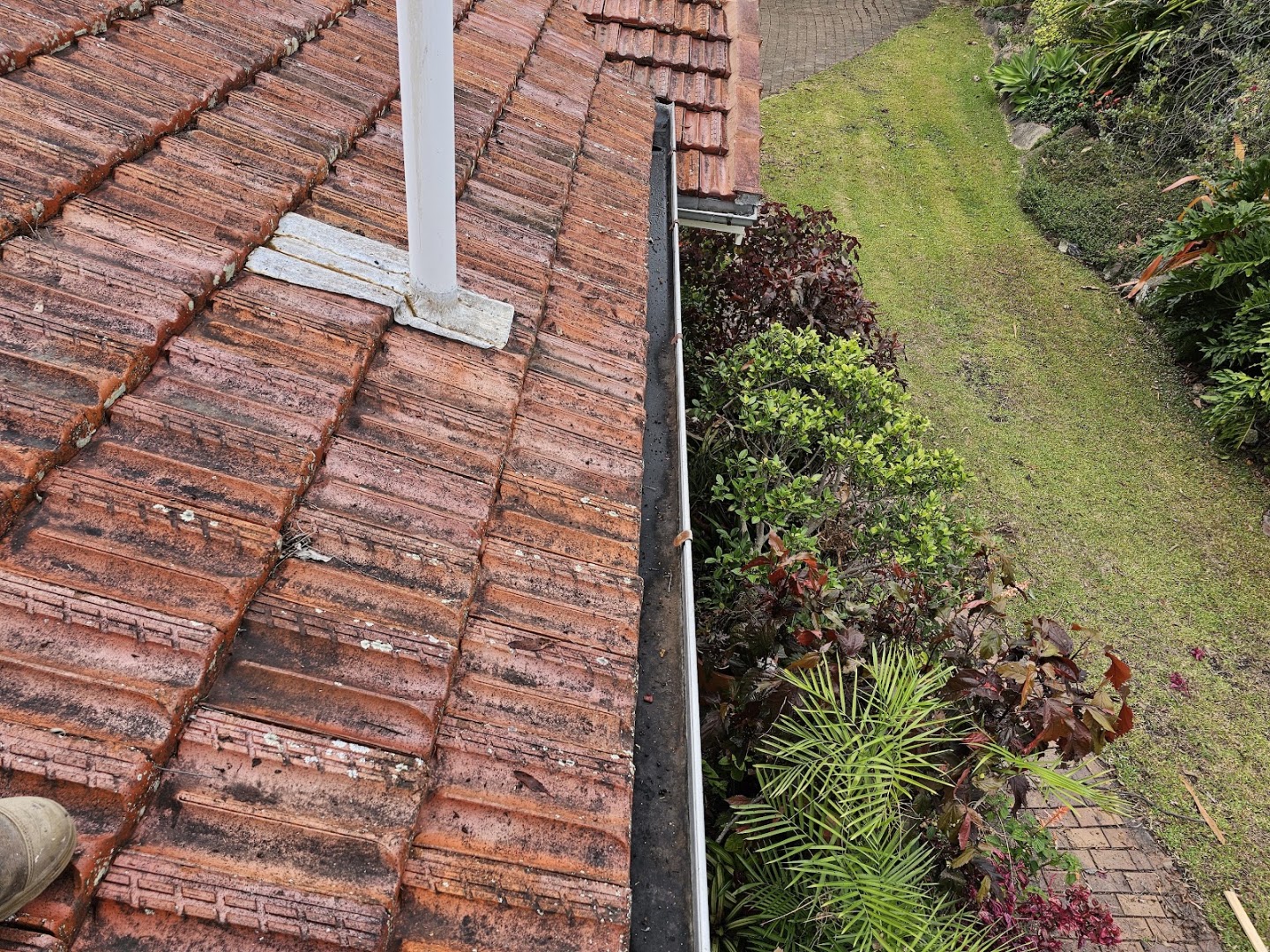 A terracotta tiled roof edge above a garden bed of shrubs