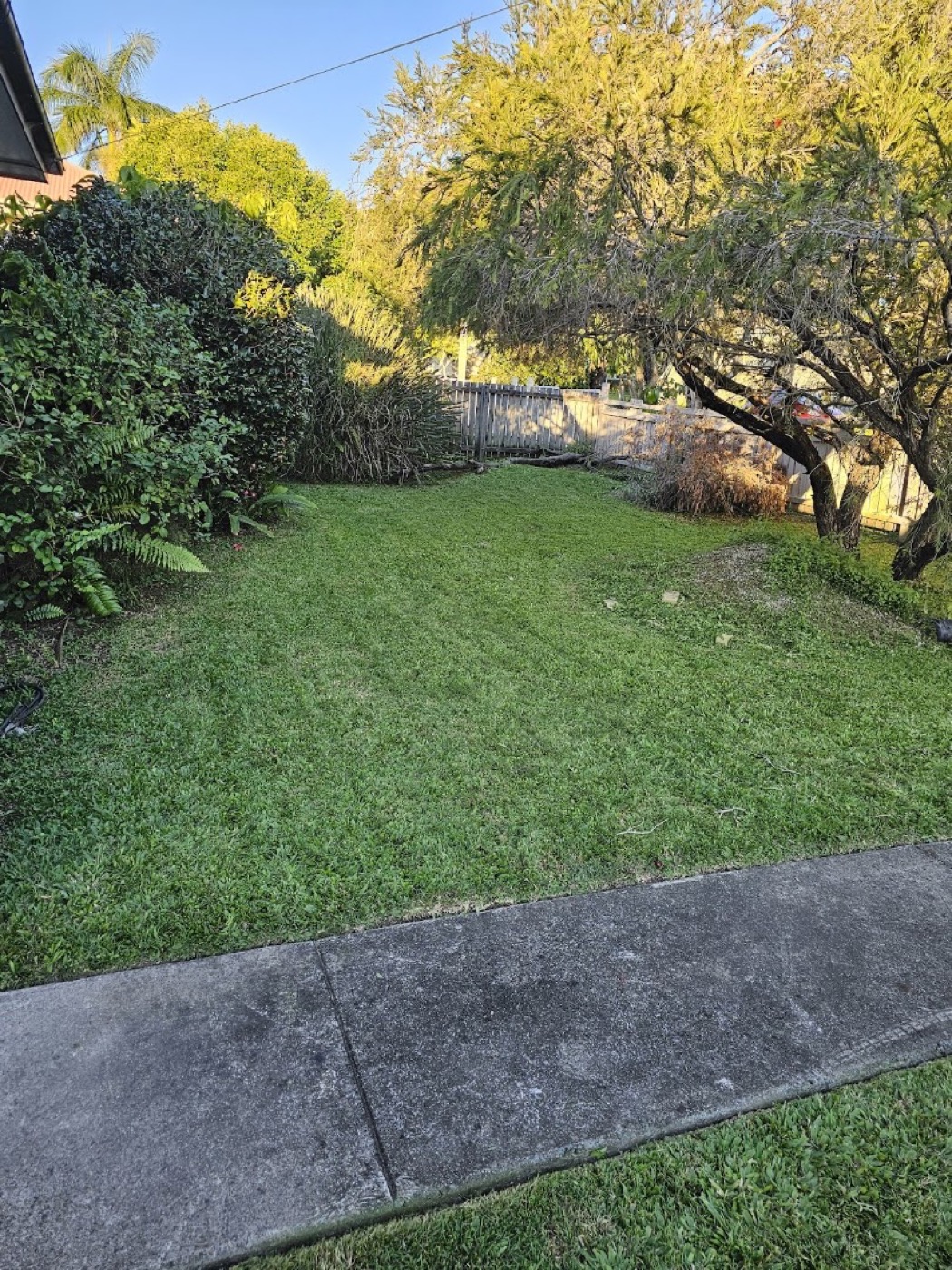 A mown lawn beside a shrub border and a footpath