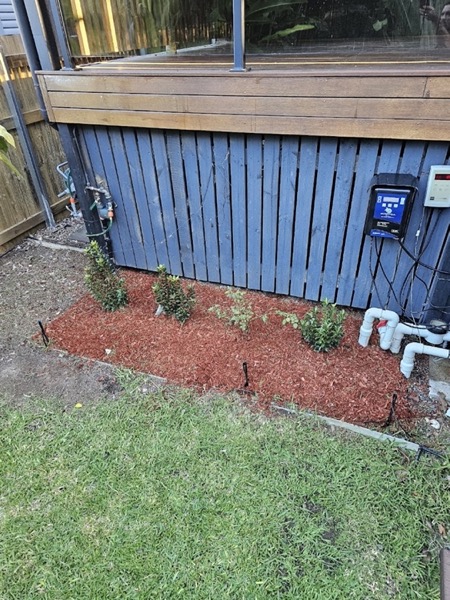 A red-mulched garden bed with new plants along a blue timber fence