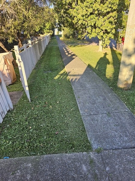 A concrete path running between two strips of mown lawn under shade trees