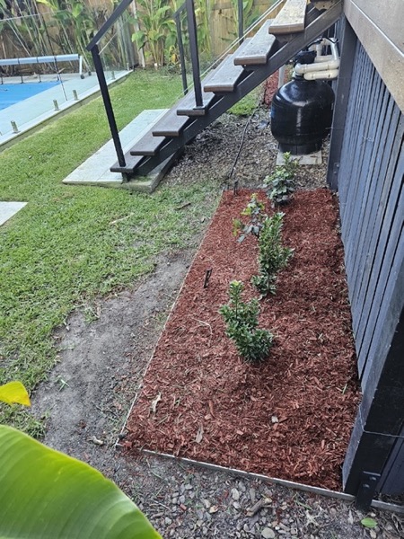 A mulched garden bed with new plantings beside a pool fence
