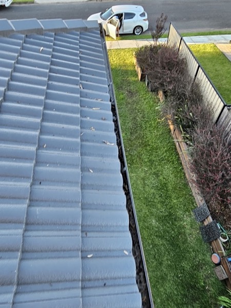 A Colorbond roof and gutter above a lawn and a clipped hedge