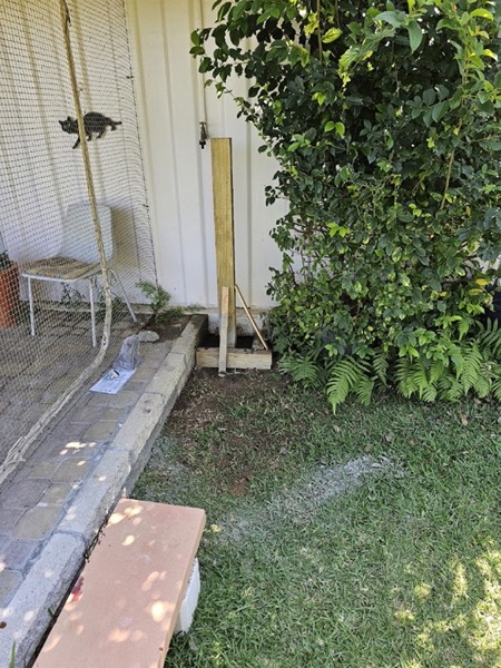 A garden bed and pavers running along the side of a house