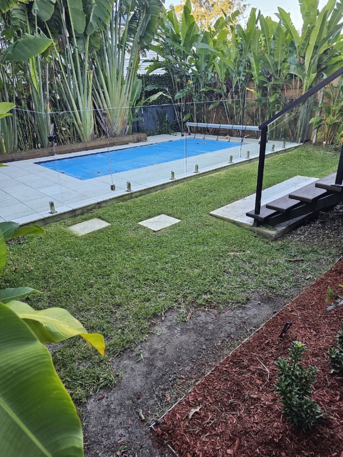 A backyard swimming pool beside a mulched garden bed and banana palms